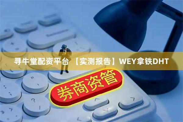 寻牛堂配资平台 【实测报告】WEY拿铁DHT