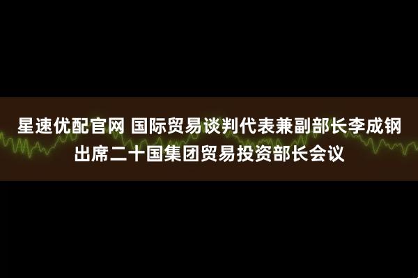 星速优配官网 国际贸易谈判代表兼副部长李成钢出席二十国集团贸易投资部长会议