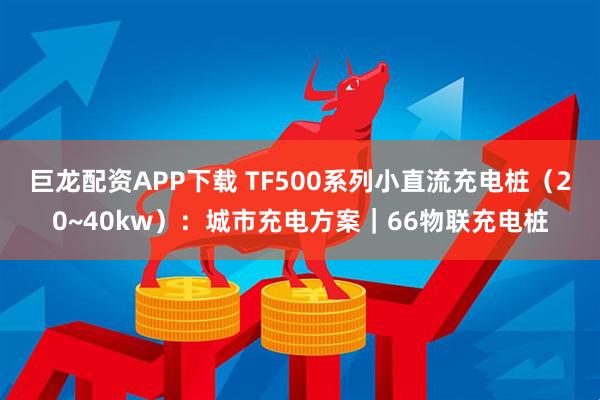 巨龙配资APP下载 TF500系列小直流充电桩（20~40kw）：城市充电方案｜66物联充电桩
