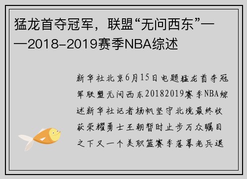 猛龙首夺冠军，联盟“无问西东”——2018-2019赛季NBA综述